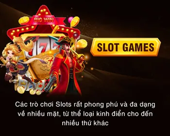 Giao diện cá cược đá gà thân thiện